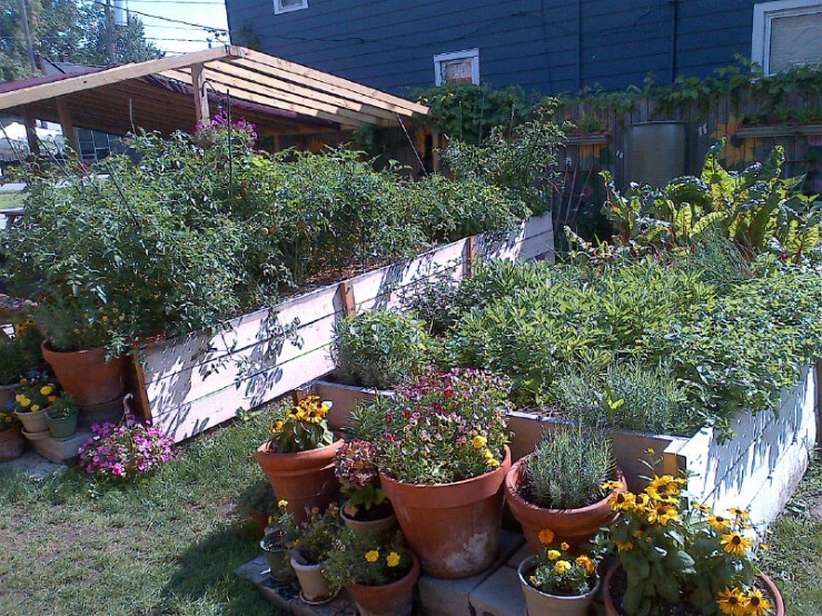 Lucky's Herb and Vegetable Garden