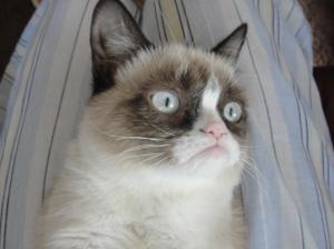 If this is Seven Lives, I don't want the other two.