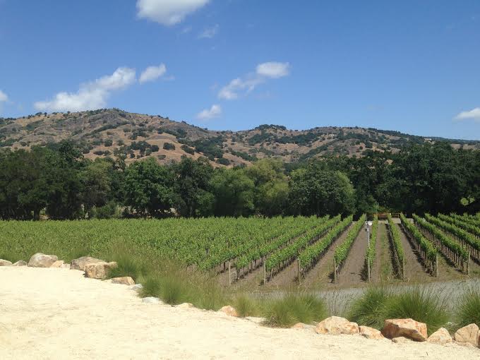 View from Stag's Leap Cellars