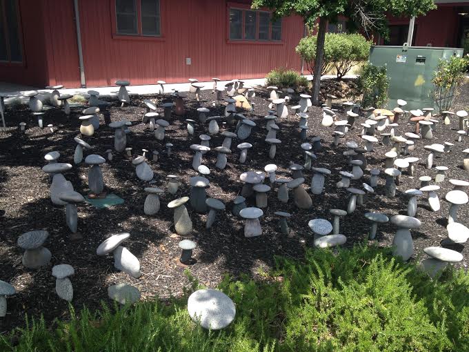 Mushroom Garden on Washington Street